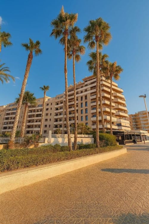 Edificio Aloha Calpe Dreams con altas palmeras bajo cielo azul en Calpe, España