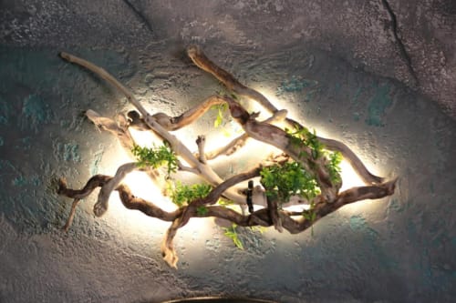 Arte murale decorativa in legno di mare con piante verdi e illuminazione calda presso Roma Imperial Suites, boutique hotel a Roma
