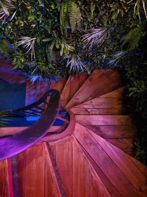 Luxuriantes plantes tropicales surplombant une terrasse en bois rose vif et un éclairage ambiant bleu à la villa La Tropicale de Bayeuzen