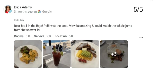 5-star review from Erica Adams for Vidasoul BnB in La Vinorama with gourmet food photos and ocean views
