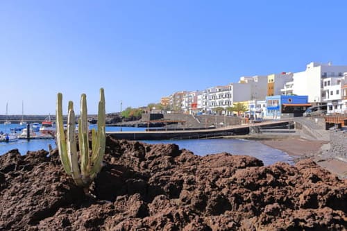 Vista del puerto costero de Santa Cruz de Tenerife con cactus, barcos y edificios junto al agua