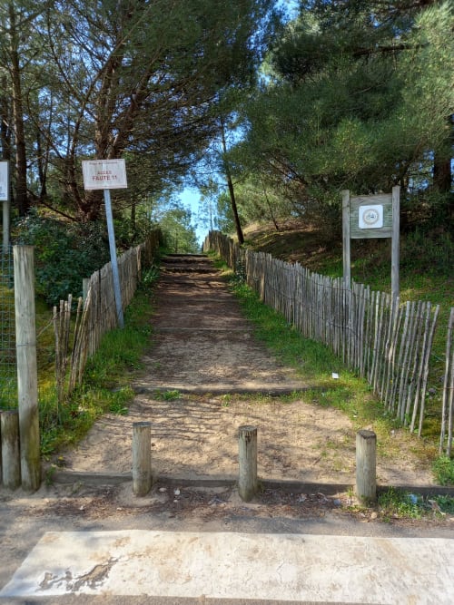 Allée fermée avec clôtures en bois aux Relais-Orbigny, L'Aiguillon-la-Presqu'île, traversant des terrains ombragés