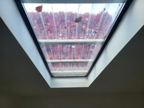 Skylight view of Cork cityscape with red roofs and buildings from Cosy Studio apartment