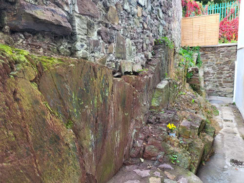 Historic stone alleyway in Cork with moss-covered walls and yellow flowers, part of Cosy Studio's charming character