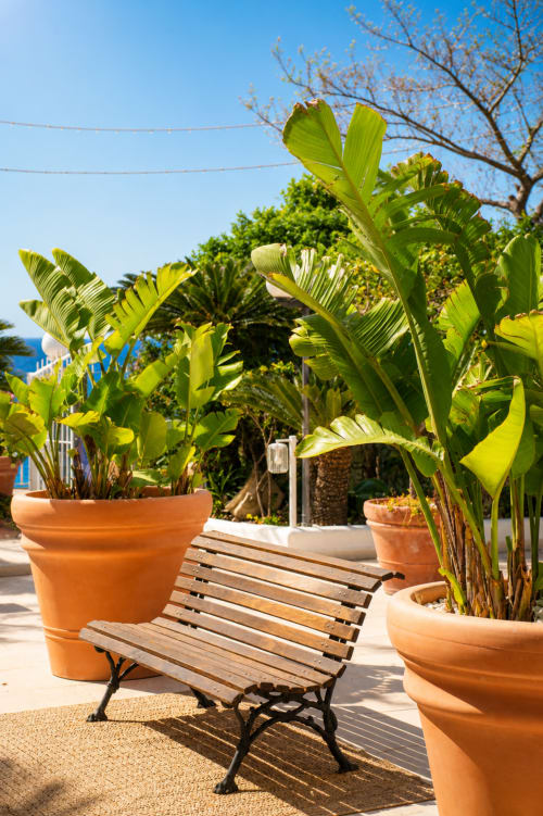 Zona relax soleggiata della Villa Bina Sea Hotel con piante di banano in vaso e panchina in legno a Serrara Fontana
