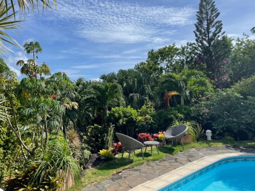 Magnifique jardin tropical en bordure de piscine.