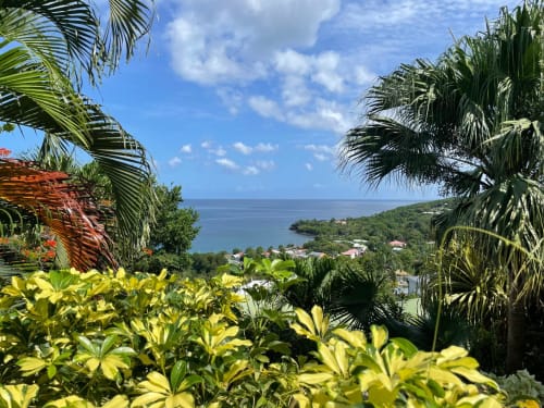 Vue du jardin tropical de la villa sur la mer Caraibes.