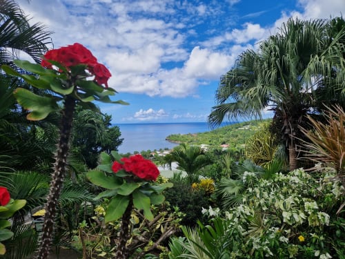 Jardin tropical fleuri de la villa, avec vue sur la mer des Caraibes