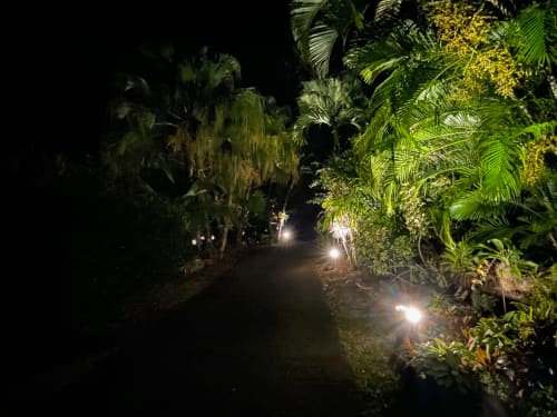 Jardin tropical de la villa en nocturne.