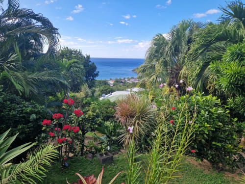 Jardin tropical fleuri de la villa, avec vue sur la mer des Caraibes