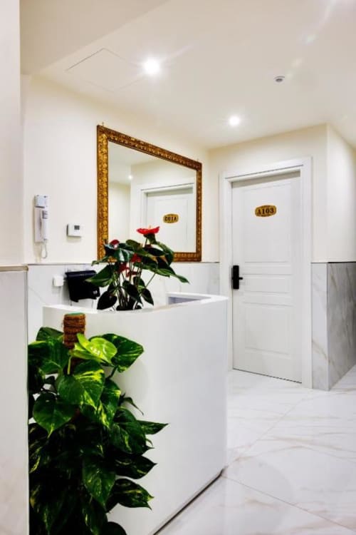 Moderno corridoio di hotel con reception bianca, piante in vaso, specchio decorativo e porte bianche presso Domus Praeclara Merulana