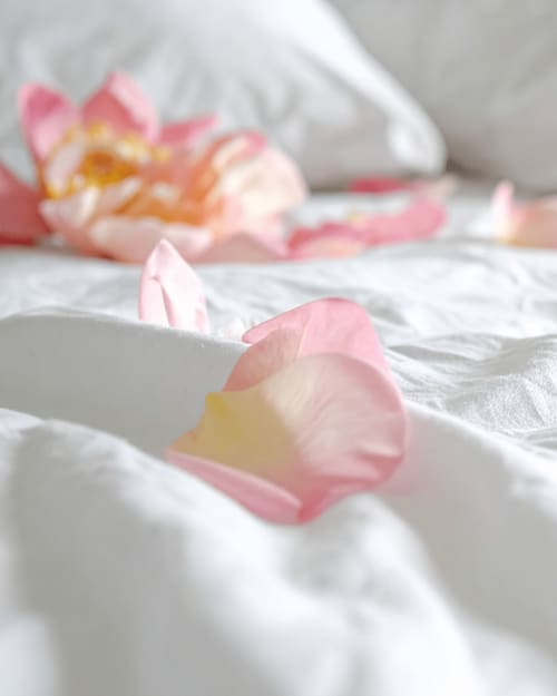 Délicats pétales de fleur rose sur lin blanc à l'hôtel L'Escapade au Mans, France