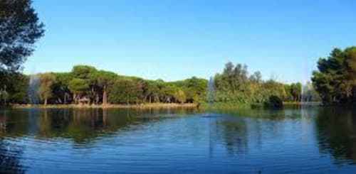 Scenic lakeside view with lush green trees reflected in calm blue water at Pescara INN, Italy