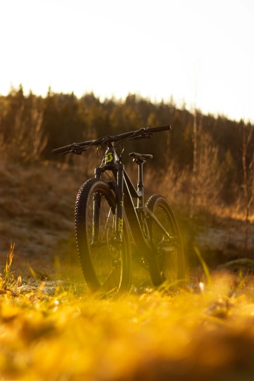 Mountain bike su sentiero forestale al tramonto vicino a Dolceacqua, Italia - alloggio Talking Stones Group