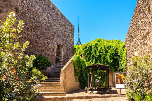 Cortile in pietra ricoperto d'edera con architettura rustica a Dolceacqua, B&B Talking Stones Group