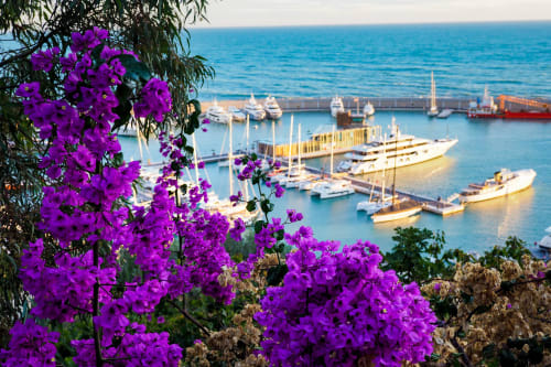 I fiori viola della buganvillea incorniciano un suggestivo porto con barche a vela a Dolceacqua, Italia