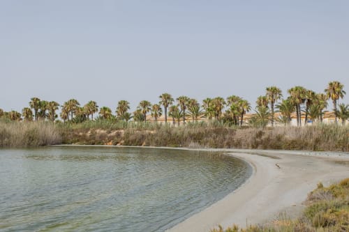 Cala de arena con aguas turquesas tranquilas y palmeras en la orilla de Playa Belchi, San Pedro del Pinatar
