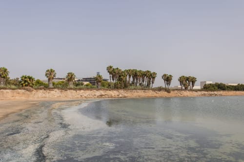Playa arenosa con aguas turquesas cristalinas y palmeras en la costa de San Pedro del Pinatar, España