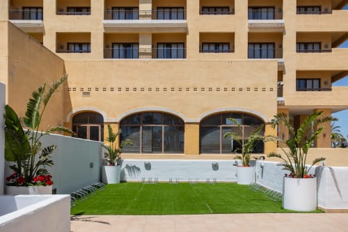 Patio de edificio moderno con césped cuidado, macetas blancas con plantas tropicales, ventanas arqueadas y soleado