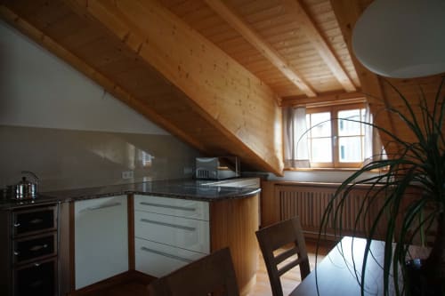 Cucina moderna in stile loft presso Rusctlea Apartments con travi in legno, elettrodomestici in acciaio inox e vista sulle montagne