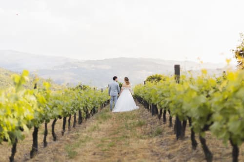 Noiva e noivo caminhando entre as fileiras de vinhas na Quinta das Susandas, Tresouras, Portugal