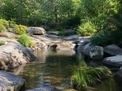 Piscina natural serena rodeada de rocas y vegetación en Holibai, Baiona