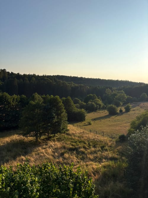 Vue sur les collines ondulantes et le paysage forestier depuis l'Auberge Du Ruxelier à Chéniménil, France