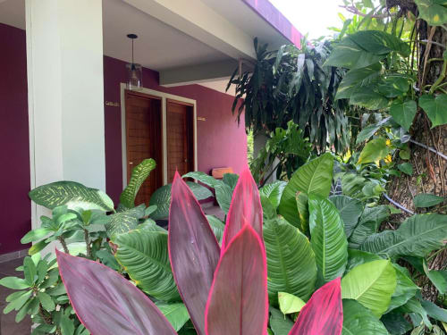 Patio tropical del hotel La Morada en Monte Gordo con vibrantes calas rosas y exuberante follaje verde sobre tonos borgoña