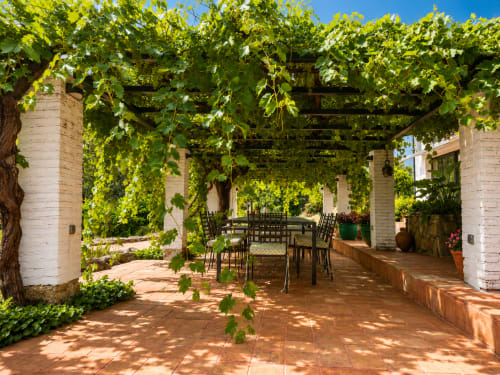 Lush vine-covered pergola with dining area at El Escondite De Pedro Malillo in Candeleda, Spain