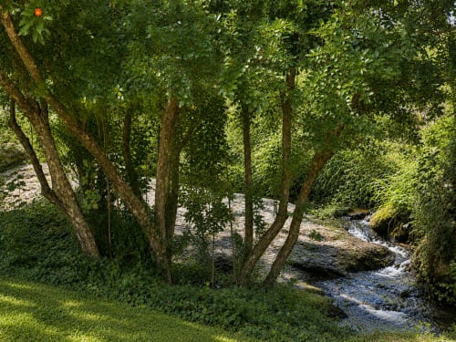 Lush woodland stream at El Escondite De Pedro Malillo, Candeleda - peaceful forest setting with flowing water