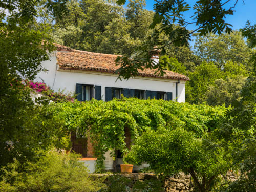 White villa with terracotta roof surrounded by lush green vegetation in Candeleda, El Escondite De Pedro Malillo