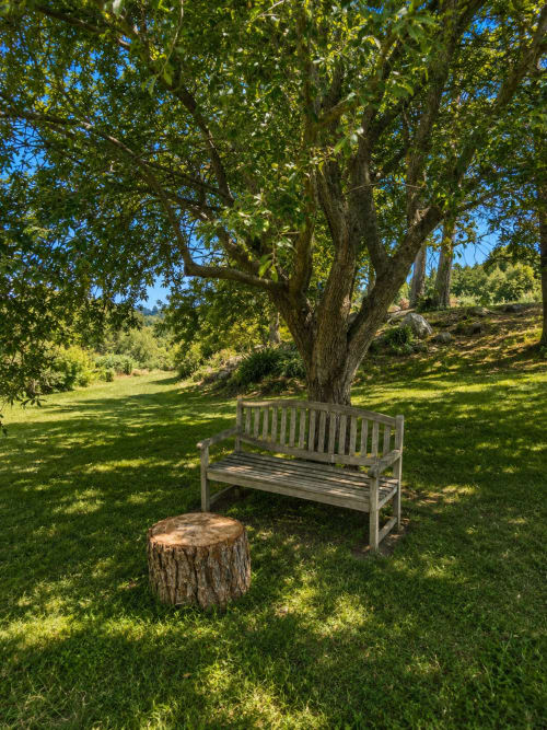Wooden bench beneath large tree in garden at El Escondite De Pedro Malillo, Candeleda