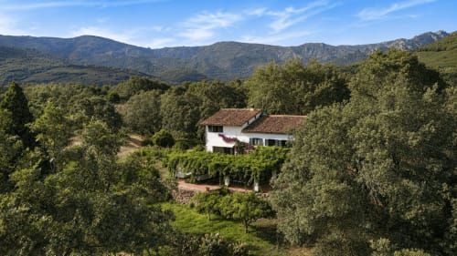 White villa nestled in olive groves with mountain backdrop, El Escondite De Pedro Malillo B&B in Candeleda, Spain