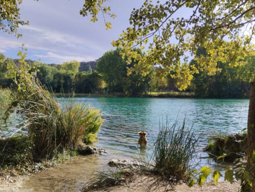 Río turquesa en Finca El Arroyo, Alcaraz: playa arenosa, juncos y árboles otoñales