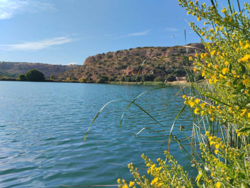 Vista panorámica del lago con flores silvestres amarillas y colinas rocosas cerca de la villa Finca El Arroyo en Alcaraz, España