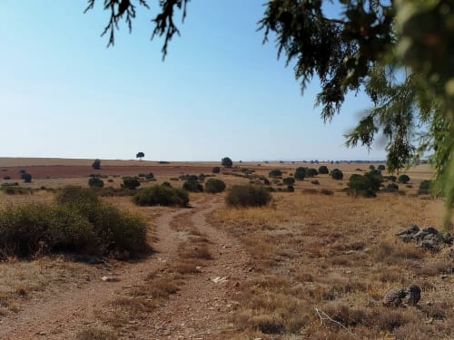 Paisaje rural sereno cerca de la villa Finca El Arroyo en Alcaraz, España con colinas ondulantes y vegetación dispersa