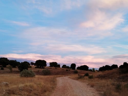 Atardecer panorámico sobre la campiña de Alcaraz con camino de tierra, pradera dorada y árboles dispersos en Finca El Arroyo