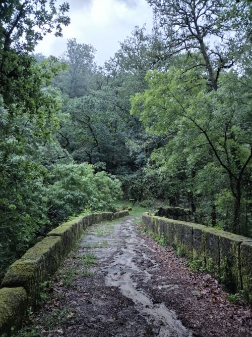 Puente de piedra cubierto de musgo sobre sendero forestal en Aldea Rural Pazos De Arenteiro, rodeado de exuberante vegetación