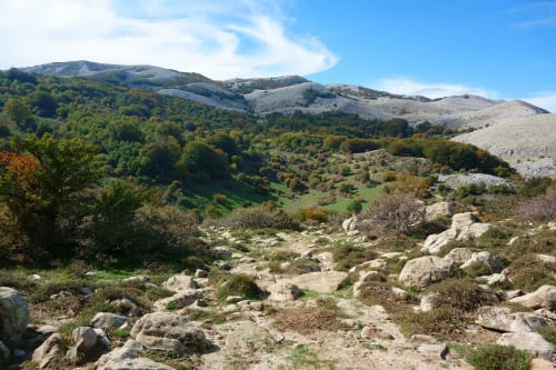 Rocky hillside landscape with green valleys near Castelbuono, Italy hotel setting