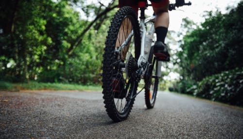 Mountain biker riding through tree-lined path near Hotel Ristorante alle Querce, Castelbuono