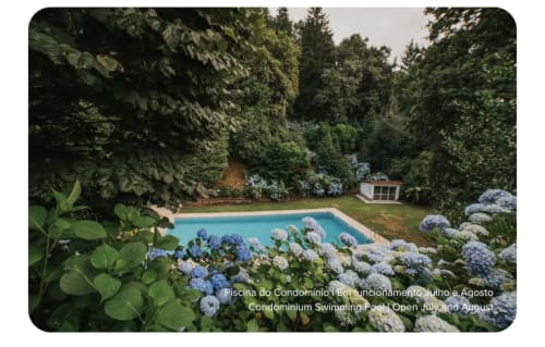 Piscina do condomínio cercada por hortênsias azuis e jardins exuberantes na villa Remote Care & Co em Vieira do Minho