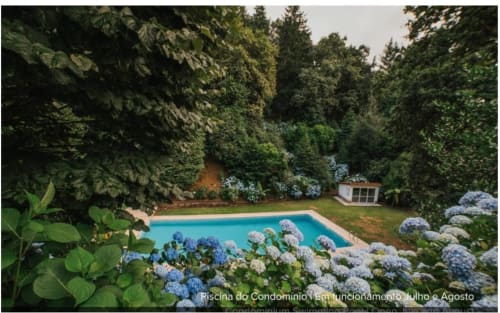 Villa Casa Colina em Vieira do Minho com piscina retangular, hortênsias azuis e vista para a floresta