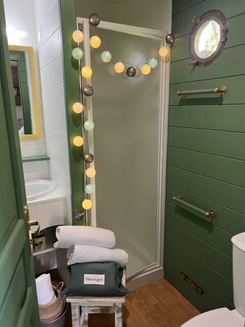 Modern bathroom at La Jument Verte with green shiplap walls, shower stall, and decorative string lights