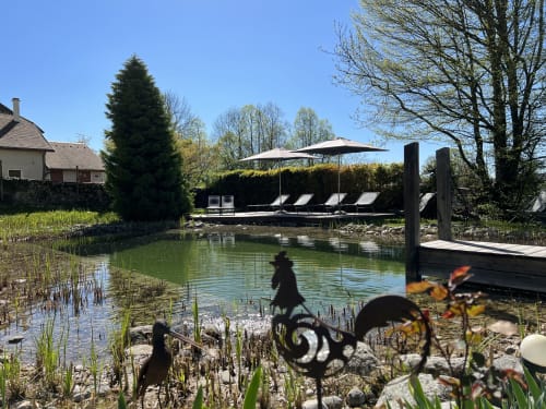 Zone piscine du gîte LA JUMENT VERTE à Trévignin avec transats, fontaine et vue sur la campagne