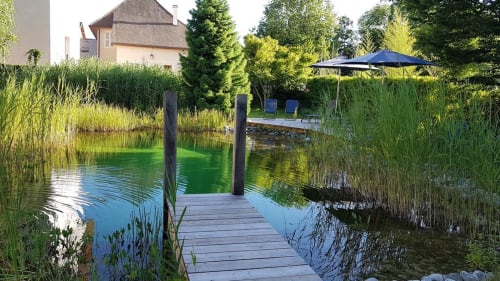 Ponton en bois s'étendant sur un étang calme avec roseaux, parasol bleu, chaises longues et cottage visible à LA JUMENT VERTE