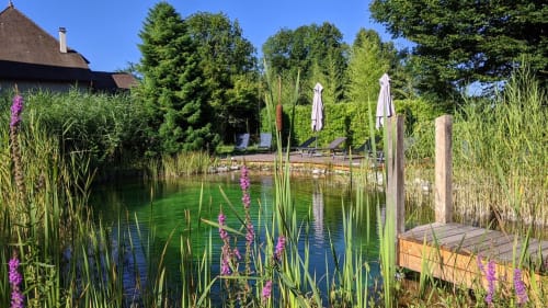 Bassin tranquille avec fleurs violettes, ponton en bois et chaises longues au gîte LA JUMENT VERTE, Trévignin