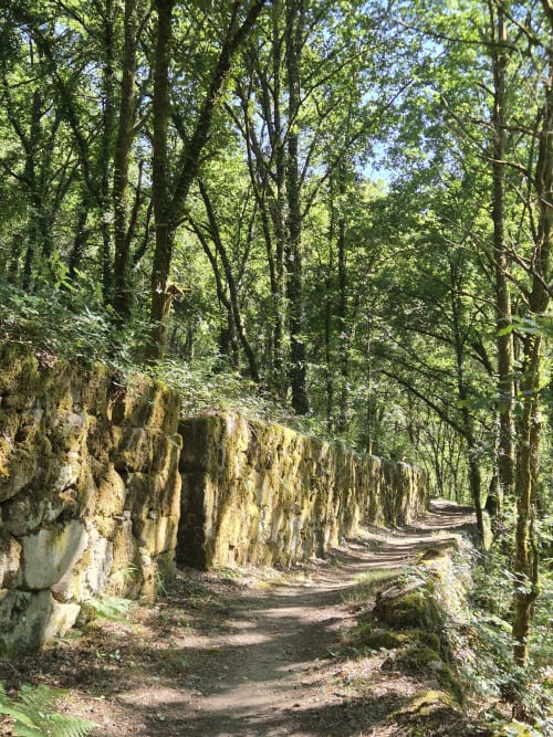 Moss-covered stone wall along a forested hiking trail at Aldea Rural Pazos De Arenteiro in Galicia, Spain.