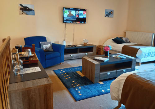 Studio de l'Écureuil in La Synchronicité BnB in Saint Sauveur Villages met blauwe fauteuil, tv, bedden en tuinmeubels