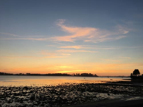 Coucher de soleil sur la plage de Roscoff, ciel doré, eaux calmes et silhouettes d'arbres à l'appartement Parenthèse En Finistère