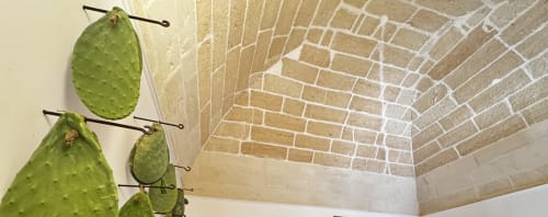 Fico d'india con soffitto in laterizio presso la boutique B&B HABITARE Lecce & Salento a Lecce, Italia